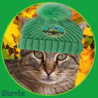 Stevie The Cat 🐈 (@zombiehunter51) 's Twitter Profile