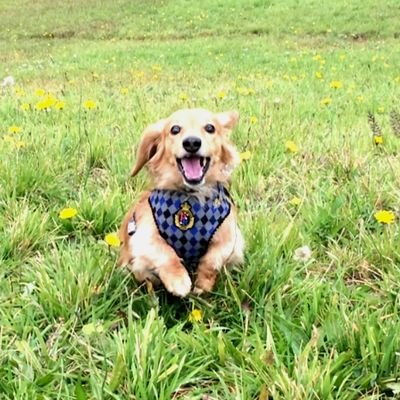 ryon0403's profile picture. 平野紫耀くんのファン💖
Number_i❤💜💙３人を応援中
Twitter初心者、よろしくお願いします。
K P💕KinKi💕SMAP💕