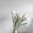 imanim_m