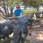 Cwboy11's profile image