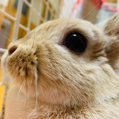 みるくさんのプロフィール画像