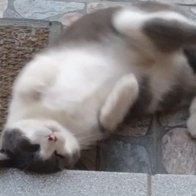 Futura veterinaria ❤️