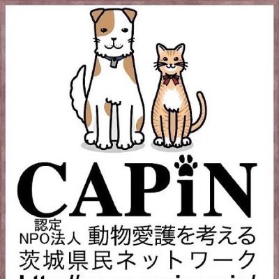 茨城県を拠点にして保護施設を運営し、さまざまな地域の犬や猫を殺処分されないように保護・譲渡しています。3.11東日本大震災以来、日本中の災害地域での動物レスキューをしたり、茨城県の殺処分を食い止めるためにたくさんの犬や猫を保護してきました。TV番組「天才！志村どうぶつ園」などでメディア露出も多数。