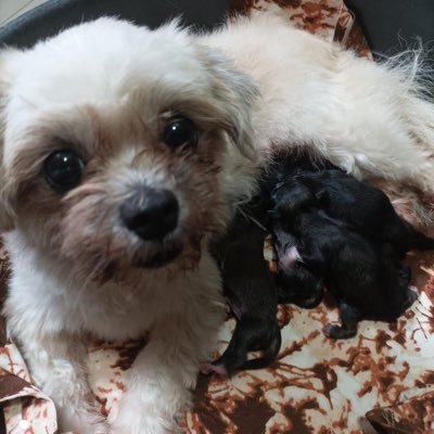 lovejnsyn's profile picture. Wanderlust ⛵ Sunflower 🌻 01010 10011 10001 💙 Park Seo Jun 🥰 Jensel Jeide & Yui Leigh-ona 👯‍♀️