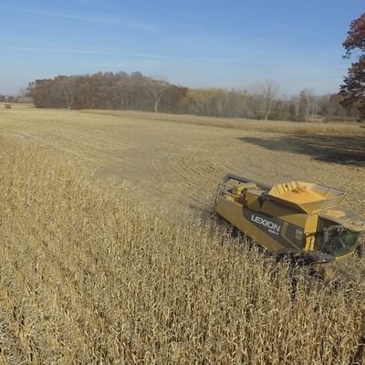 HelenDu56077647's profile picture. I woke up like this.