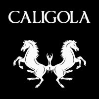 Caligola (@caligolamusic) 's Twitter Profile