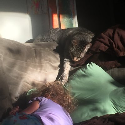 DeepblueKat's profile picture. How can you do this without sounding lame? There is no potential for depth of knowledge. *Sigh* The ultimate end of this kind of concision is dross.