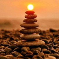 ANSHU (Nomad) (@anshu31221005) 's Twitter Profile