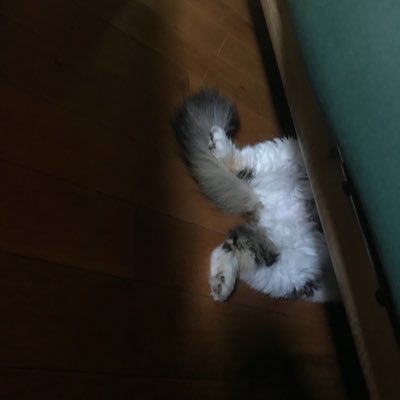 Joey64059370's profile picture. nope