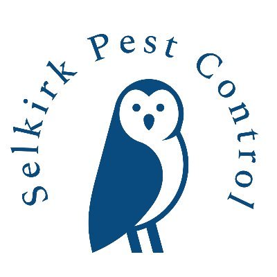 Rodenticide free rodent and pest control in Nelson, Castlegar, and surrounding communities. Assessing homes for rodent access points and other pest issues.