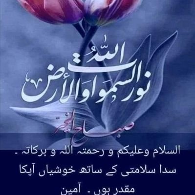 AbdulRazaqueS20's profile picture. 