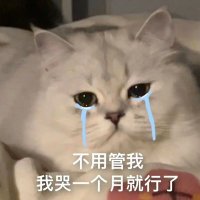 Joshu (@mathmustdeath) 's Twitter Profile
