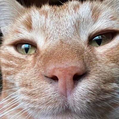 DearJohn40027's profile picture. 