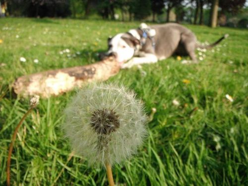 joshtbw's profile picture. American in UK for 20+ years, follow politics, science and philosophy.