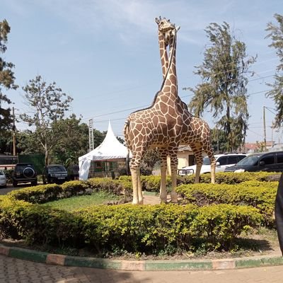 ||https://t.co/26TCWLF6kZ #IndustrialChem 🇳🇬 ||https://t.co/AYHDVYWMF8 #Environmental/Analytical Chem 🇺🇬 《Outspoken, an interesting character, imperfect but always lear....