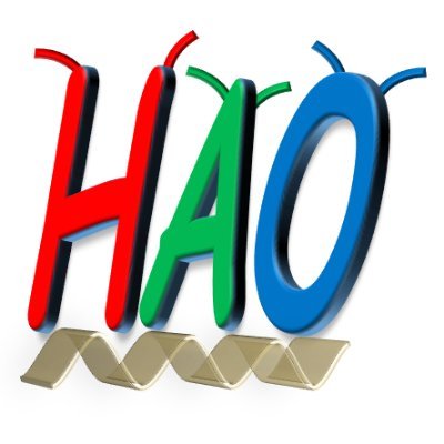 NanjingHao87's profile picture. 