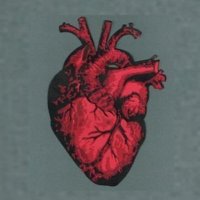 buse (@saraypasf) 's Twitter Profile