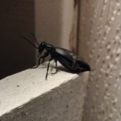 Dr_H_Coomer's profile picture. Listen man, I hate Twitter. I only use it for the nsfw accounts, so don't follow me.
Loli = Pedo gtfo also not zoophile safe I hate you #killzoophiles