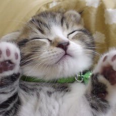 yuzu_chacha1207's profile picture. 羽生結弦選手を応援してます📣💖 ソチ落ち✨✨ ☆*:.｡. o(≧▽≦)o .｡.:*☆ 無言フォロー失礼します🙏