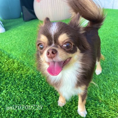 yukaaaaaaaa1173's profile picture. 