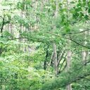 Lauren Toth - @laurennntoth - Twitter