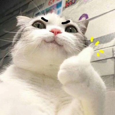 ninililiaces's profile picture. #6️⃣5️⃣🎹 -- stanning the best rapline in kpop 🔥🔥