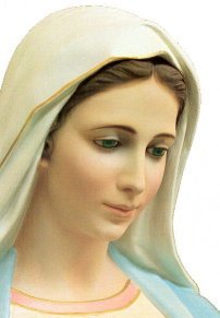 Medjugorje Today is a professional online news agency reporting on the Virgin Mary's apparitions in Medjugorje. Breaking news on the world's most vital village.