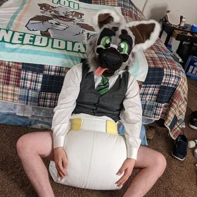 Just a  abdl puppy living life with @ferixdog. With padding 24/7 (18+ account) 
Telegram same as here.
