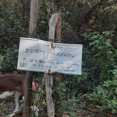 quando il mare è calmo ogni stronzo è marinaio