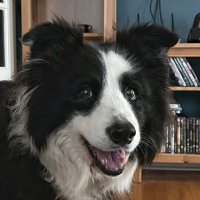 Jill Clark (@jillaclark) 's Twitter Profile Photo