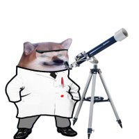 JoeFella📯🇩🇪🇪🇺🇺🇦🇮🇱 (@fellajs) 's Twitter Profile