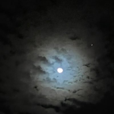 mllab55's profile picture. 