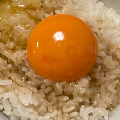 4lVmVtkN5IN49Qv's profile picture. 成人済！腐ってます。攻めが重いの大好きチヒ伯が熱い！文字を書きます。感想を貰うととても喜ぶナマモノです。うぇぶぼ→ https://t.co/N4283FBRGdプライベッター→https://t.co/uxvi7NCc1x マロはリンクにあります！