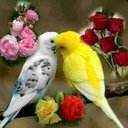 Saad Sadek - @SaadSad45717461 - Twitter