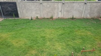 maggybabus's profile picture. 