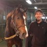 eiji_kuno's profile picture. 現役精神科医のイノッチです。馬券歴20年以上。精神医療と馬券術を組み合わせた独自メソッドで年間回収率120%超えを10年以上続けています。競馬や馬券の役に立つ情報をリアルタイムで発信。公式LINEでも競馬情報発信しています。https://t.co/RFM7DyWHiE