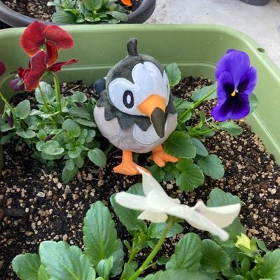 phrase_mov's profile picture. 