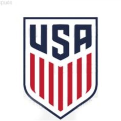 Selección de Estados Unidos
clubes pro europa