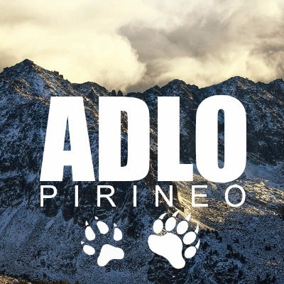 Asociación Defensa Lobo y Oso en el Pirineo.
Sede: Pirineu de Lleida