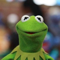 Kermiť D. Frog (@twits2022) 's Twitter Profile