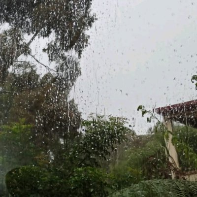 WillMworia's profile picture. Leadership, entrepreneurship