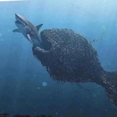 MARROG79's profile picture. MAGA  AMERICA 🇺🇸 FIRST  LETS MAKE FREEDOM FREE NEVER BACK DOWN              NO BOTS 🤖 Thank you 🙏 go in peace ✌️