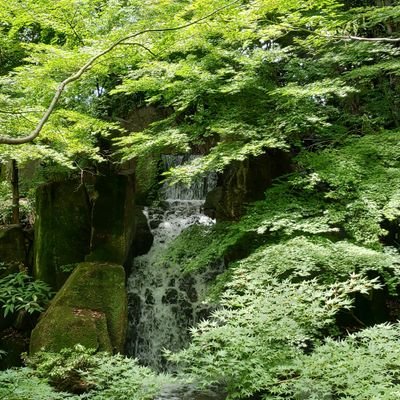 2011年脳脊髄液減少症発症→RI検査漏れ○→BP1回目→回復。2018年再発→安静2W→半年で自力回復。2021年再発→安静→自己療養→検査漏れx→生食パッチ→回復。2022年再発→安静→生食パッチ→好転→検査漏れx→BP2回目→回復。2025年再発→安静→RI/CT検査漏れ○→BP3回目→やや回復→再発→BP4回目
