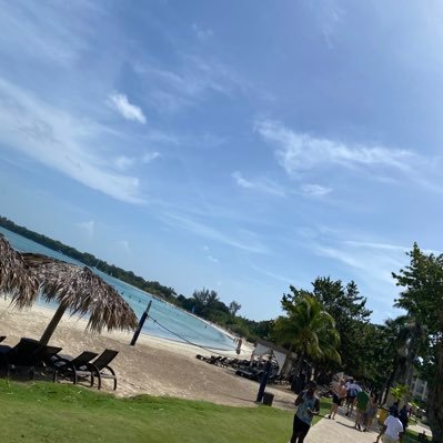 Jordan34624839's profile picture. 