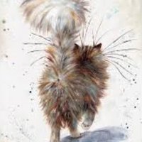 Shadetreemedic (@shadetreemedic) 's Twitter Profile