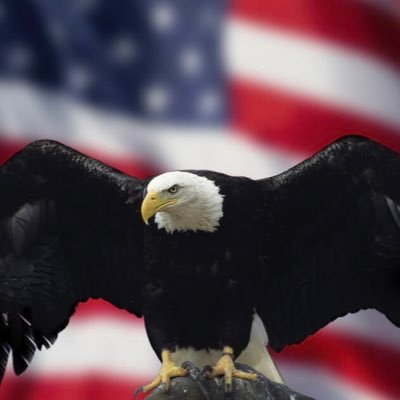 chaosstopshere1's profile picture. 