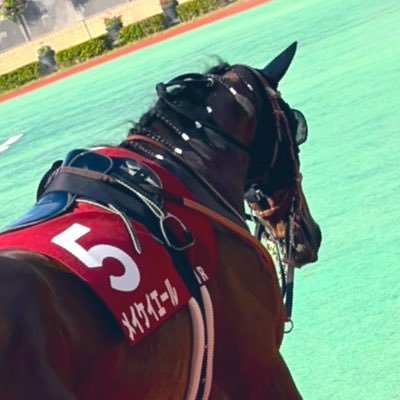 me_uma99's profile picture. 