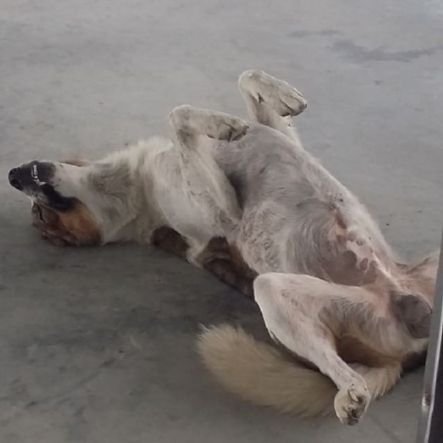 kitcs0005's profile picture. 