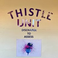 Thistle D2A (@a1thistle) 's Twitter Profile