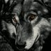 The kaiser (@rincho45) Twitter profile photo The kaiser (@rincho45) Twitter profile photo